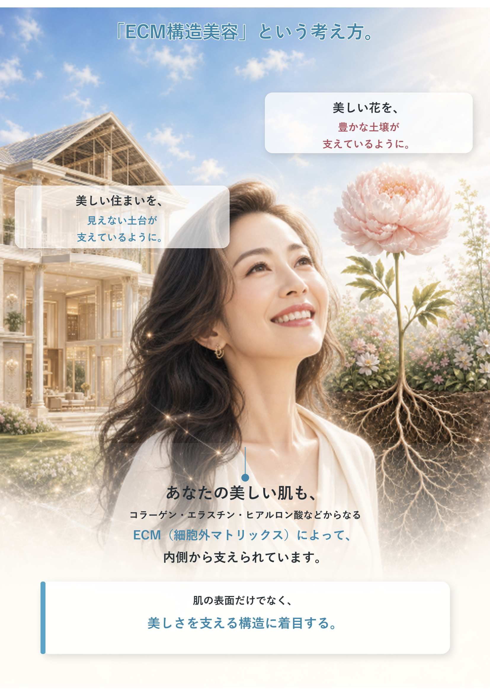 肌のECM構造を建築に例えると、各成分が役割分担して肌の家を守っています