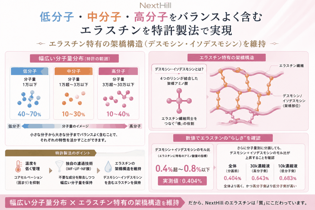 低分子・中分子・高分子をバランスよく含むエラスチンと、特許製法のポイントを示した図